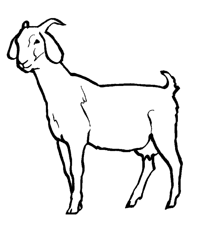 planse desene de colorat capra